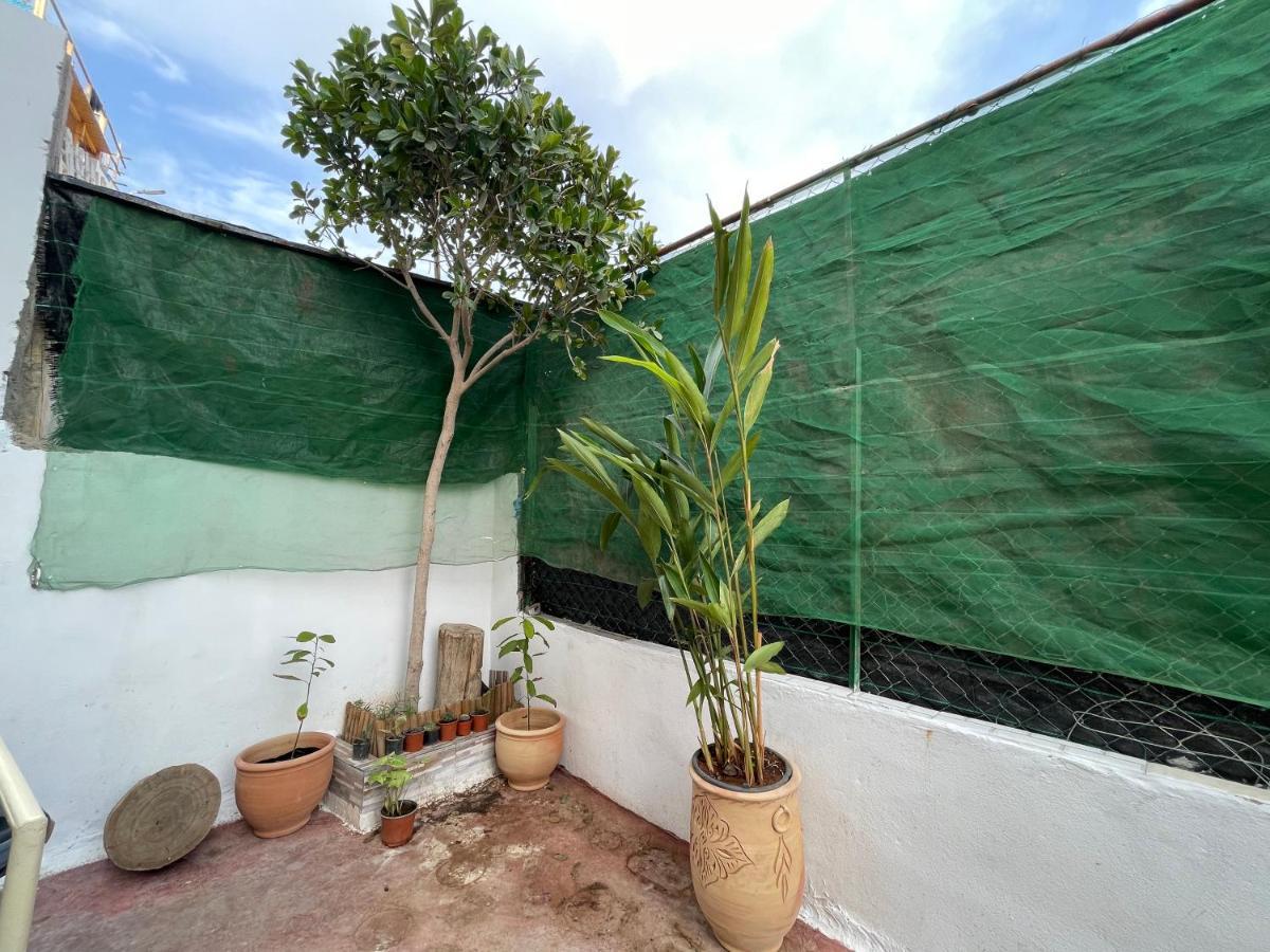 Hostel Jungle Surf House Taghazout Zewnętrze zdjęcie
