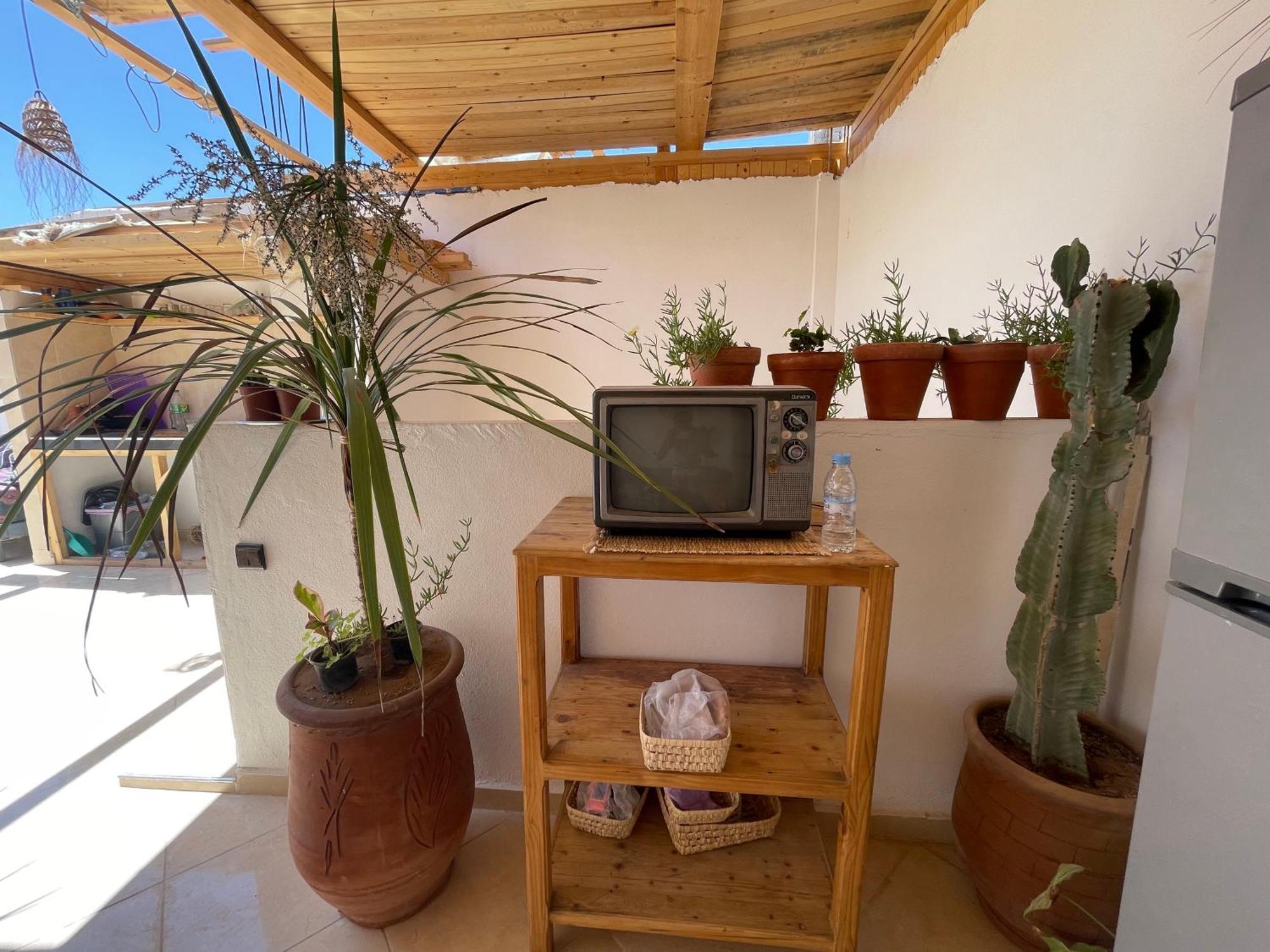 Hostel Jungle Surf House Taghazout Zewnętrze zdjęcie