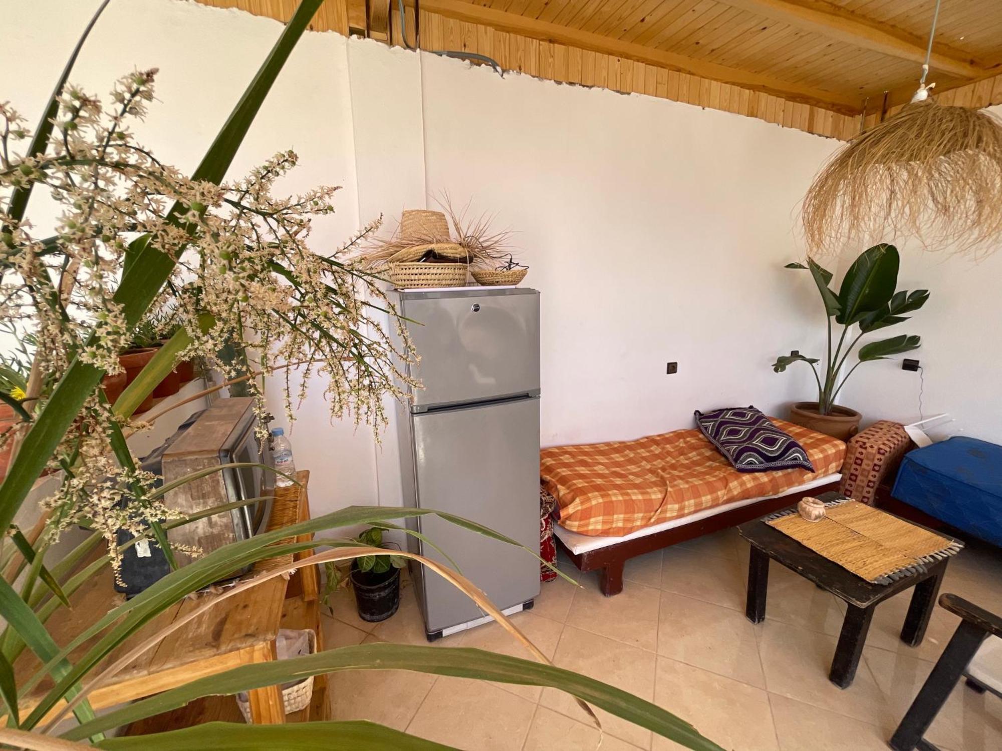 Hostel Jungle Surf House Taghazout Zewnętrze zdjęcie